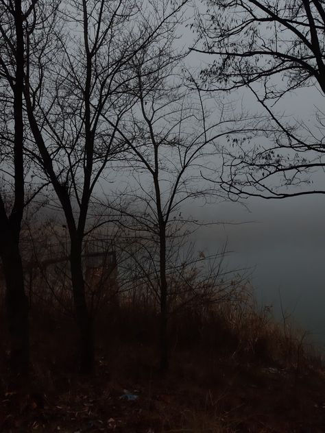 #sweaterweather #rain #foggy #grey #aesthetic #darkaesthetic #trees Grey Day Aesthetic, Gray Hour Winter, Grey Autumn Aesthetic, Grey Rain Aesthetic, Grey Hour Winter, Gray Hour Aesthetic, Grey Fall Aesthetic, Grey Hour Aesthetic, Dark Gray Aesthetic