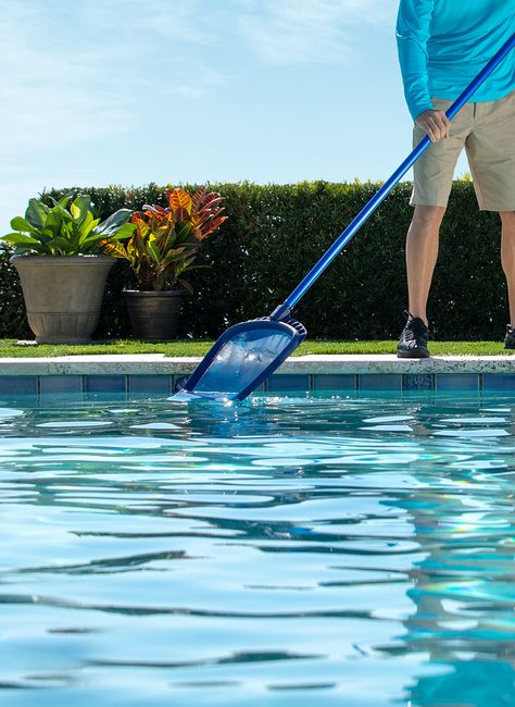 Find the right tools for your swimming pool care. Pool Cleaning Tips, Pool Nets, Pool Skimmers, Danny Ocean, Pool Life, Pool Care, Pool Maintenance, Pool Cleaning, Swimming Pool