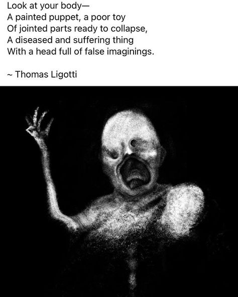 The ORIGINAL Poetic Outlaws on Instagram: ““The human phenomenon is but the sum Of densely coiled layers of illusion Each of which winds itself on the supreme insanity That there are…” Thomas Ligotti, The Supreme, The Original, Historical Figures, Human, Photo And Video, Instagram Photos, Instagram Photo, Books