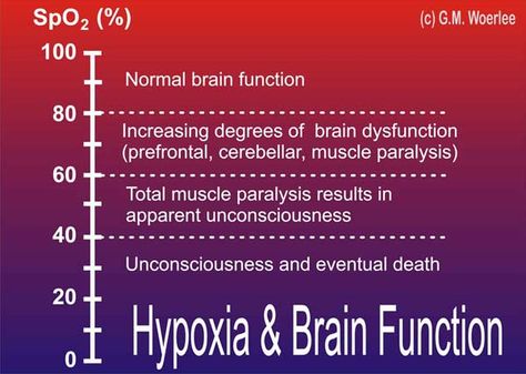 what does hypoxemia cause | Mild hypoxia (SpO2 = 100-80%) Kaplan Nursing, Med School Study, Nursing Fun, Nurse Problems, Pulmonology, Aircraft Maintenance, Respiratory Therapy, Medical Careers, Medical Terminology