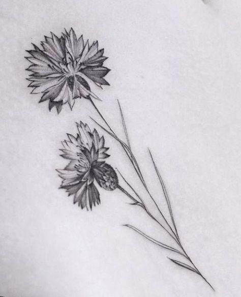 German Cornflower Tattoo, Cornflower Tattoo Black, Cornflower Tattoo Minimalist, Blue Cornflower Tattoo, Cornflower Tattoo, Mommy Daughter Tattoos, Bracelet Tattoos, Button Tattoo, Butterfly Tattoo Stencil