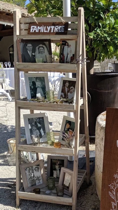 Pictures of relatives weddings in the past on display Wedding Family Tree, Wedding Ladder, Family Tree Wedding, Ladder Tree, Wedding Display, Wedding Venue Decorations, Wedding Family, Tree Wedding, Ladder Bookcase