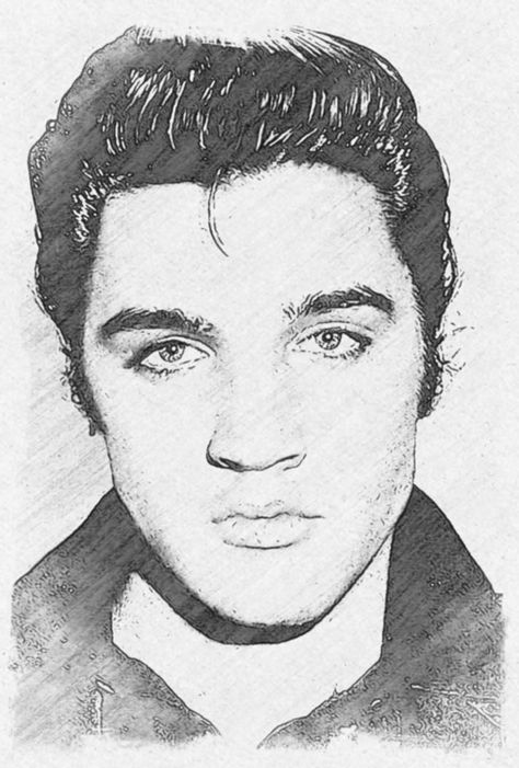 Elvis Presley Sketch, Elvis Sketch, Elvis Presley Drawing, Elvis Drawing, Elvis Artwork, Elvis Presley Songs, Elvis Art, Frog Doll, Dinosaur Sketch