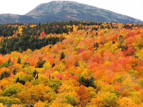 Mount Washington New Hampshire, Phone Widgets, Wind Gust, American Road, New England Fall, Mount Washington, Good Morning Image Quotes, American Road Trip, U.s. States