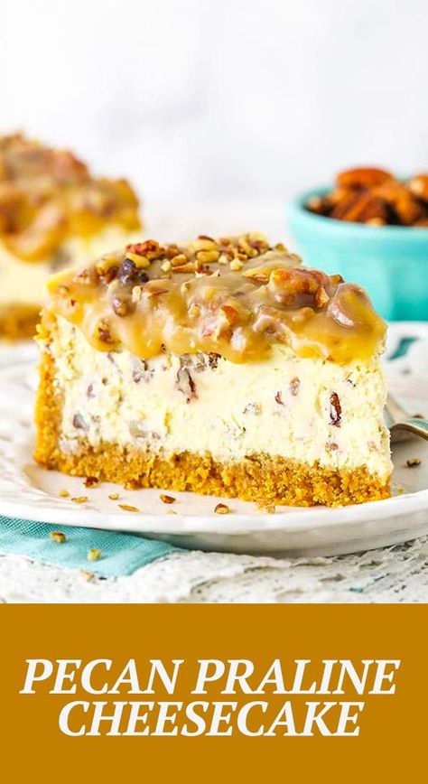 No Bake Pecan Praline Cheesecake, Pecan Praline Desserts, Brown Sugar Pecan Cheesecake, Praline Cheesecake Recipes, I Am Baker Recipes Desserts, Praline Pecan Cheesecake, Pecan Praline Cheesecake Recipe, Cheesecake With Pecan Crust, Pecan Praline Cheesecake