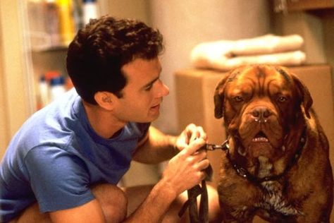 Turner and Hooch Turner And Hooch, Forrest Gump 1994, Danny Mcbride, Mr Banks, Must See Movies, 1980s Movies, French Mastiff, Fox Family, Vince Vaughn