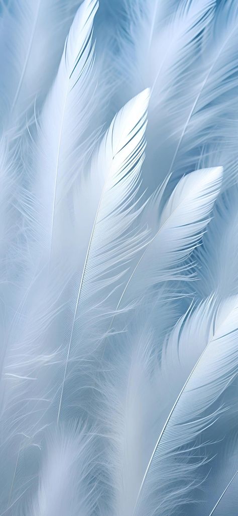 Feather Background, Kitten Wallpaper, White Feathers, New Wallpaper, Where The Heart Is, Bird Feathers, Flocking, Reiki, Art Ideas