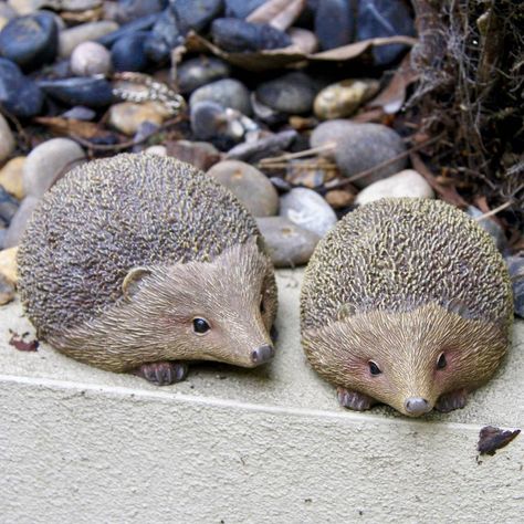 Pair Of Hedgehog Garden Sculptures Hedgehog Garden, Hedgehog Ornament, Garden Sculptures, London Garden, Garden Accents, Clay Animals, Unique Gardens, Ceramic Animals, Garden Decorations