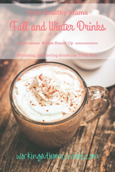 THM Fall and Winter Drinks Thm Smoothies, Trim Healthy Mama Drinks, Trim Healthy Mama Plan, Trim Healthy Momma, Hot Drinks Recipes, Swiss Miss, Healing Tea, Trim Healthy Mama Recipes, Thm Desserts