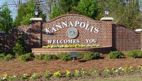 Day Trip Idea: Village Park in Kannapolis I Wanna Go Home, Wanna Go Home, Village Park, Playground Areas, Ticket To Ride, Paw Paw, Walking Paths, Get Active, Outdoor Movie