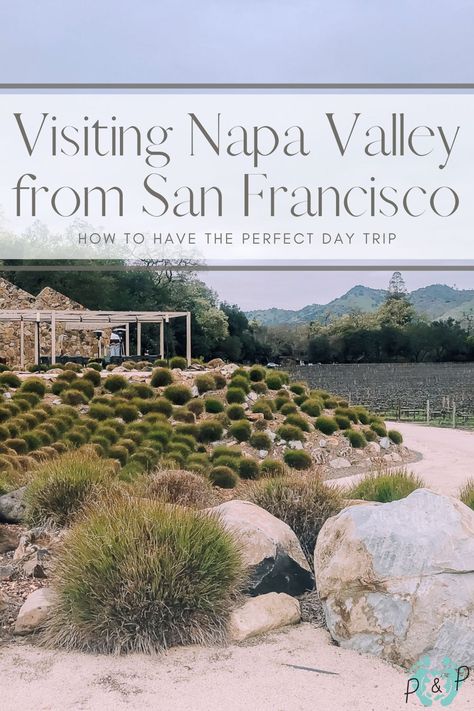 Visiting Napa Valley from San Francisco. The perfect day trip! San Francisco And Napa Valley Trip, Napa Valley Day Trip, Napa Valley Itinerary, Napa Valley Wine Tours, San Francisco Road Trip, San Francisco Itinerary, Napa Trip, Napa Valley California, Bday Celebration