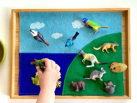 Land Air Water Animals at How we Montessori Land And Water Animals Activities, Land Air Water Montessori, Land Water Air Montessori, Montessori Extensions, Montessori Culture, Ell Activities, Montessori Work, Daycare Themes, Montessori Science