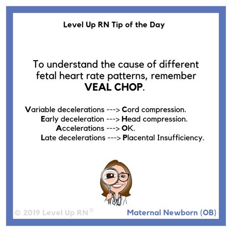 Veal Chop Nursing, Fetal Heart Rate, Newborn Nursing, Veal Chop, Nursing Mnemonics, Ob Nursing, Pharmacology Nursing, Nursing School Survival, Cardiac Nursing