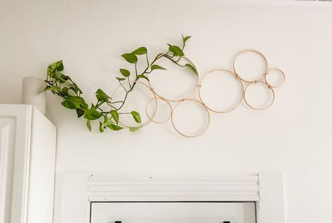 Hemma Diy, Inside Plants, Trellis Plants, Decoration Plante, House Plants Decor, Deco Floral, Climbing Plants, Plant Mom, Plant Wall