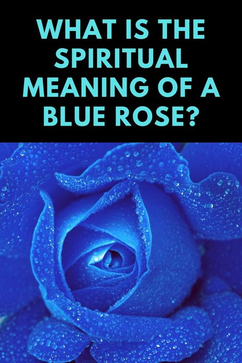 Rose Spiritual Meaning, Blue Rose Meaning, Meaning Of Blue, Rose Meaning, Spiritual Health, Spiritual Meaning, Blue Roses, Blue Rose, Spiritual Awakening