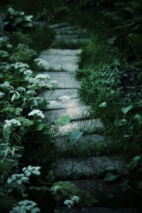 Moonlight Cottage, Secret Garden Aesthetic, Forest Gardens, Moonlit Garden, Faerie Garden, Moonlight Garden, Twilight Garden, Hidden Forest, Mid Night