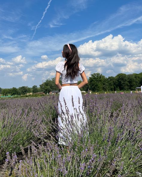 Lavender Farm Pictures, Lavender Field Photoshoot Outfit, Lavender Farm Photoshoot, Lavender Field Photoshoot, Lavender Fields Photography, Asian Flowers, Farm Pictures, Farm Photo, Grey Flowers