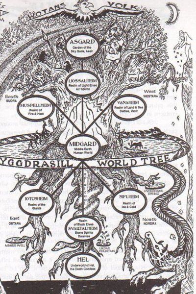 Yggdrasil: Tree of Life World Tree, Different Symbols, Norse Myth, Norse Pagan, Old Norse, Norse Vikings, The Tree Of Life, Norse Mythology, Gods And Goddesses