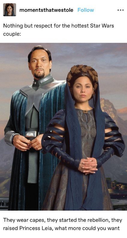 Breha Organa, Bail Organa, Powerful Couple, Star Wars Fashion, Adoptive Parents, Leia Organa, The Force Is Strong, Star Wars Pictures, Star Wars Fandom