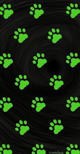 Chat Noir Wallpaper, Noir Wallpaper, Paw Prints, Cat Noir