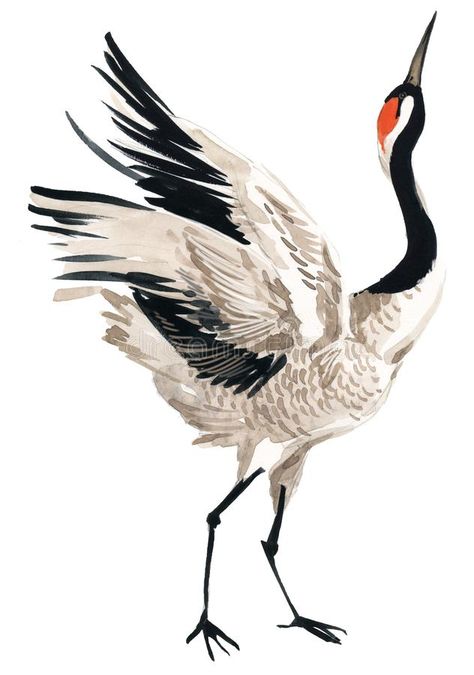 Japanese Crane Tattoo, Crane Drawing, Shark Sculpture, Flying Crane, Crane Tattoo, Usui Reiki, Japanese Bird, White Crane, Japanese Crane