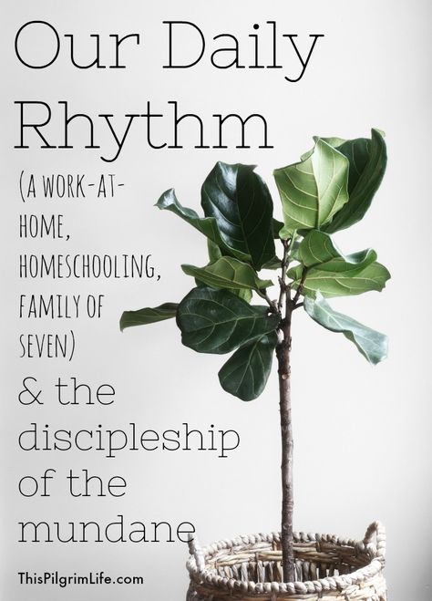 This is our daily rhythm as a work-at-home, homeschooling, family of seven (with a toddler and a newborn)! Whole Family Rhythms, Family Rhythm Chart, Daily Rythm Ideas Homeschool, Daily Rythyms, Homeschool Rythyms, Homeschool Daily Rhythm, Waldorf Daily Rhythm, Daily Rhythm Chart, Homeschool Rhythm