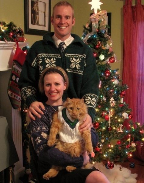 Cat sweater Christmas cards Cat Family Photo, Funny Christmas Photos, Funny Xmas Cards, Pet Christmas Cards, Christmas Card Pictures, Cat Calendar, Christmas Holiday Photos, Christmas Pics, Family Christmas Pictures