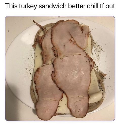 31 Dank Memes to Sink Your Teeth Into - Funny Gallery Johnny Bravo, 밈 유머, Food Memes, Turkey Sandwiches, Goofy Pictures, Ice And Spice, Best Sandwich, Very Funny Pictures, Funny Profile Pictures