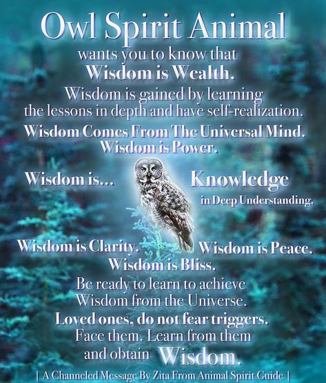 Owl Spirit Animal Meaning, Animal Totem Spirit Guides, Quotes Universe, Owl Symbolism, Universe Energy, Spirit Animal Meaning, Energy Vibration, Animal Meanings, Animal Spirit Guide