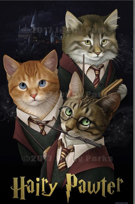 Harry Potter Cat, Jenny Park, Glume Harry Potter, Cat Info, Image Chat, Foto Tips, Harry Potter Jokes, Harry Potter Books, Dessin Adorable