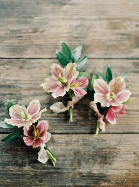 Beautiful Brunch, Nature Reference, Groomsmen Boutonniere, Special Flowers, Groom Boutonniere, Wedding Flower Inspiration, Floral Arrangements Wedding, Boutonniere Wedding, Personalized Wedding Favors