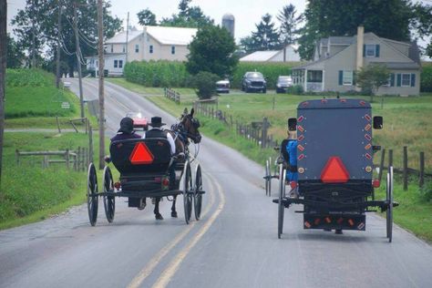 PaAmish Another Day In Paradise, Amish Country, The Neighborhood, Another Day, Country Life, The Neighbourhood, Paradise, Photography