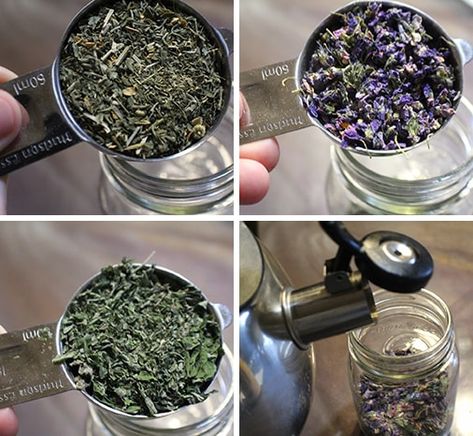 How to Make Herbal Tylenol - The Lost Herbs Herbs For Headache, Homemade Tylenol, Milk Thistle Tincture Diy, Homemade Herbal Remedies, Herbal Tylenol Alternative, Tylenol Alternative, Natural Tylenol, Herbal Tylenol, Lavender Tincture