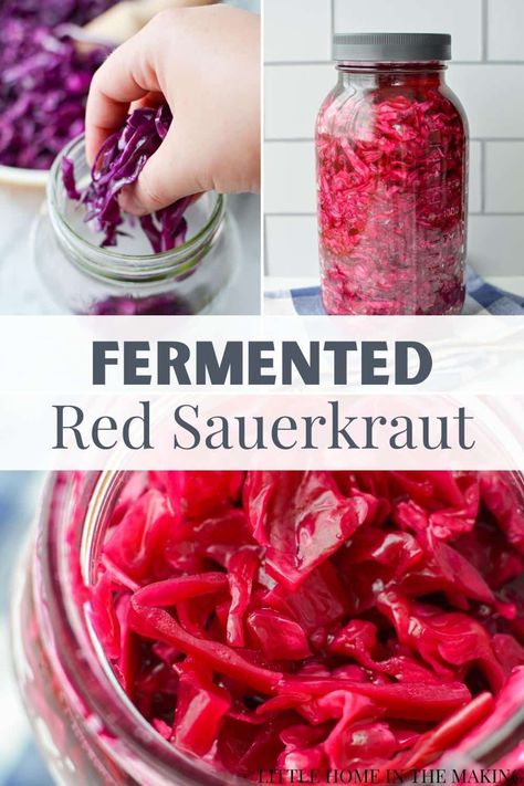 This easy recipe for Fermented Red Cabbage (AKA Red Sauerkraut) is perfect for beginners and experts alike! Simple to make with just a few simple ingredients, this lacto-fermented condiment is a great way to preserve your extra cabbages for the Fall and Winter months. Whether you’re looking to add probiotic-rich fermented foods to your diet, or you’re seeking out more traditional foods, you’re going to want to learn how to make your very own sauerkraut. Fermented Sauerkraut Recipes, Fermented Red Cabbage, Red Cabbage Sauerkraut, Pickled Red Cabbage, Fermented Sauerkraut, Red Cabbage Recipes, Sauerkraut Recipe, Homemade Sauerkraut, Fermented Cabbage