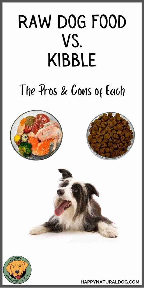 Are you considering feeding a raw food diet to your dog? There are many pros and cons to consider, and many different opinions. Many holistic dog health experts recommend feeding raw, and tout its benefits for health issues like allergies and intestinal issues. And if you want to feed raw dog food, should you make it yourself or buy it premade? Read the article to find out! Raw Food Diet For Dogs, Dog Raw Diet, Diet For Dogs, Raw Dog Food Diet, Raw Dog Food, Skin Diet, Poor Nutrition, Natural Dog Food, Food Content