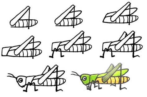 8 Simple Steps To Create A Nice Grasshopper Drawing – How To Draw A Grasshopper Grasshopper Drawing, Art Tips, Learn To Draw, Easy Drawings, To Draw, To Learn, To Create, Drawings