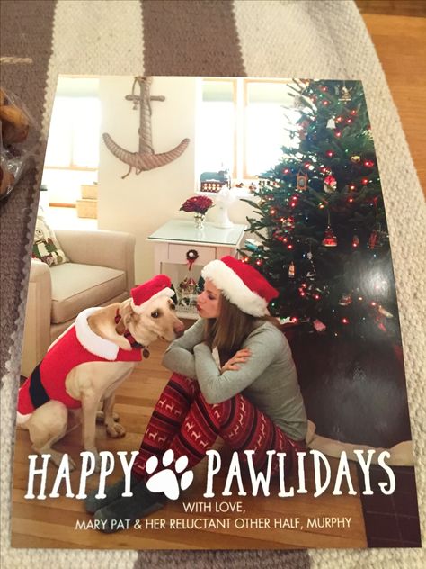 Single girl Christmas card Single Girl Christmas Card Ideas, Christmas Pictures With Dog Single, Christmas Card With Dog Single, Single Christmas Card, Dog Mom Christmas Card, Girl And Dog Christmas Card, Funny Christmas Cards Photo Ideas With Dogs, Dog Christmas Card Ideas, Christmas Card Ideas With Dogs