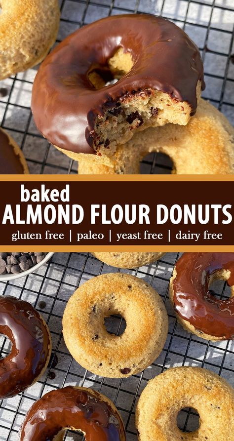 These baked almond flour donuts are moist and cakey with miniature chocolate chips dispersed throughout. They are made with almond flour and baked in the oven. This healthy donut recipe is gluten free, dairy free, yeast free and paleo friendly. Whole30 Baking Recipes, Almond Flour Doughnut Recipes, Almond Flour Donut Holes, Almond Flour Baked Donut Recipe, Healthy Gluten Free Dairy Free Snacks, Almond Flour Donuts Baked, Healthy Donut Recipe Kids, Almond Flour Bars Healthy, Paleo Donut Recipe