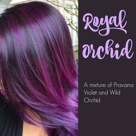 Purple Peekaboo Highlights For Dark Hair, Orchid Hair Color, Haircolor Ideas, Peekaboo Highlights, Violet Hair, Red Heads, Beautiful Hair Color, Hair Color Purple, Hair Medium