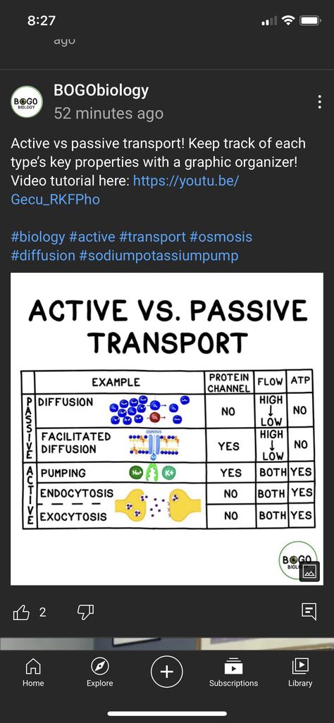 Sodium Potassium Pump Notes, Coordination And Response Biology Notes, Cell Communication Biology Notes, Passive Transport Biology, Transport Across Cell Membrane Notes, Sodium Potassium Pump, Class 11 Biology Notes Locomotion And Movement, Passive Transport, Color Coding Notes