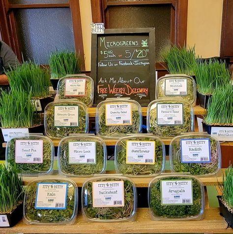 Microgreens Farmers Market Display, Microgreens Farmers Market, Microgreen Display, Microgreens Packaging Ideas, Farmers Market Booth Display, Agriculture Marketing, Microgreen Business, Microgreens Business, Farm Market Ideas