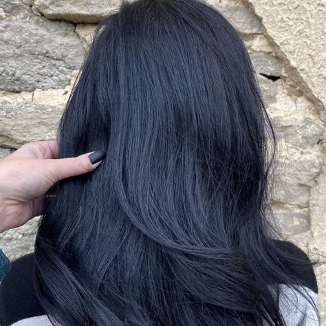 Black Hair Blue Tint, Black Hair With Blue Undertones, Blueish Black Hair, Blue Hair Dark, Knives Chau, Midnight Blue Hair, Navy Blue Hair, Dyed Hair Blue, Blue Black Hair