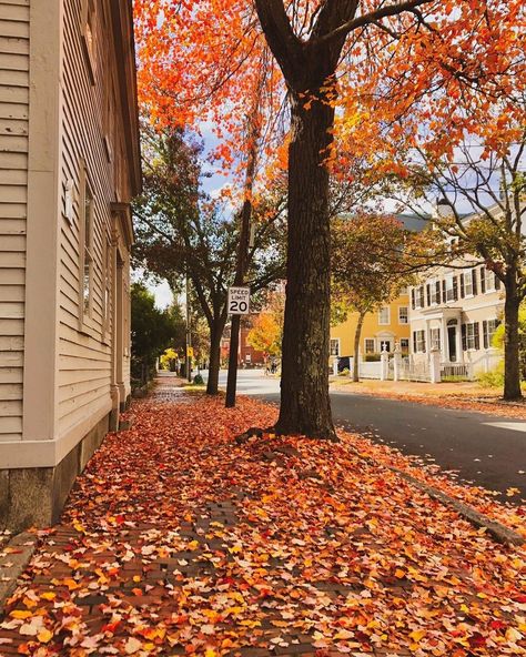 Salem massachusetts Massachusetts Aesthetic, Fall Aesthetic Pictures, Studera Motivation, Herbst Bucket List, Fall Boards, Fall Mood Board, Fall Mood, New England Fall, Cozy Season