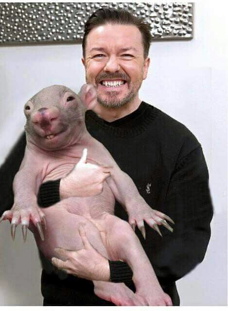 Ricky Gervais with a baby wombat.  Adorable!! Baby Wombat, Ricky Gervais, Favorite Celebrities, Celebrities, Animals