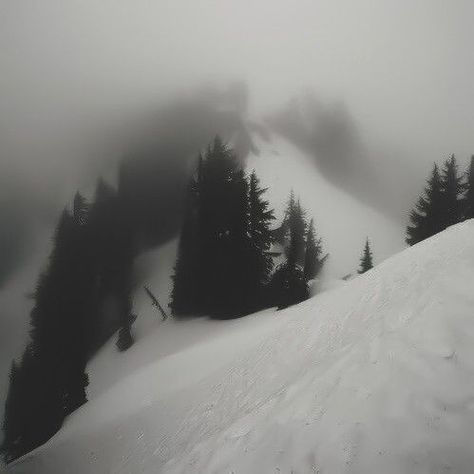 Foggy Weather, Forest Wood, Dark Nature Aesthetic, Winter Wood, Winter Scenery, Snowy Mountains, Tree Forest, Winter Aesthetic, Night Aesthetic