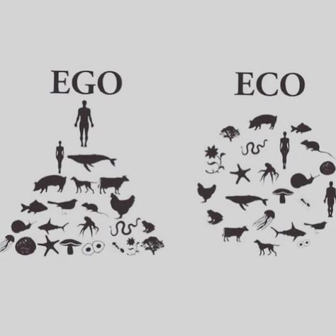 “Deep Ecology is a philosophy of nature which sees that underlying the environmental crisis there is a psychological disease stemming from… Deep Ecology, Portable Water Filter, Green Earth, Medical Humor, Picture Credit, Green Life, Human Nature, Save The Planet, Sustainable Living