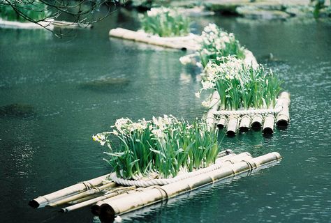 Photo of the Day: Floating Gardens in Taiwan |White blooms stand neatly on floating bamboo rafts in Taipei City, #Taiwan on April 1, 2013. (billlushana1/Flickr) Floating Gardens, Floating Raft, Taman Air, Flower Garden Plans, Floating Garden, Natural Swimming Pools, Permaculture Gardening, Natural Swimming Pool, Rain Garden