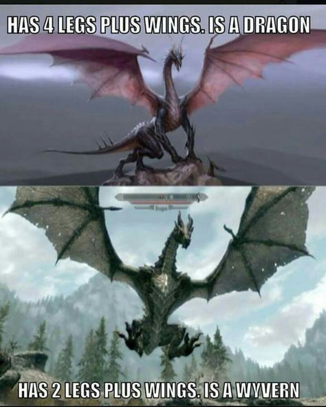 Wyvern Dragon, Dungeons And Dragons Homebrew, Dragon Artwork, The More You Know, Skyrim, Dungeons And Dragons, Board Games, Fish Pet, Card Games