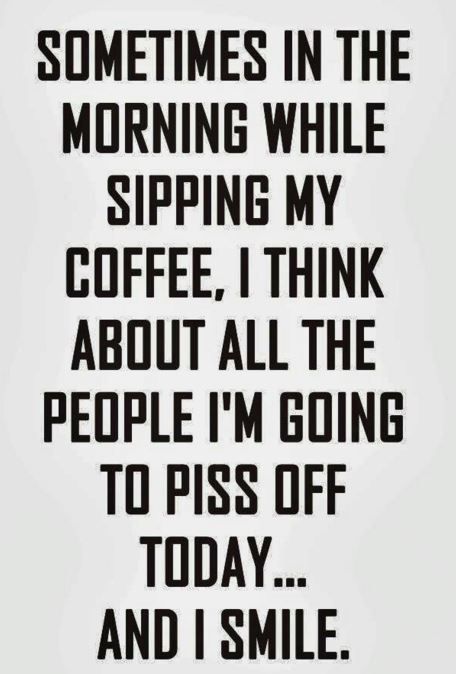 Sarcastic Ray Of Sunshine Good Morning, Good Morning Funny Humor Hilarious, Morning Sarcasm, Funny Morning Quotes, Good Morning Quotes Funny, Morning Jokes, Daily Humor, Senior Humor, Funny Coffee Quotes