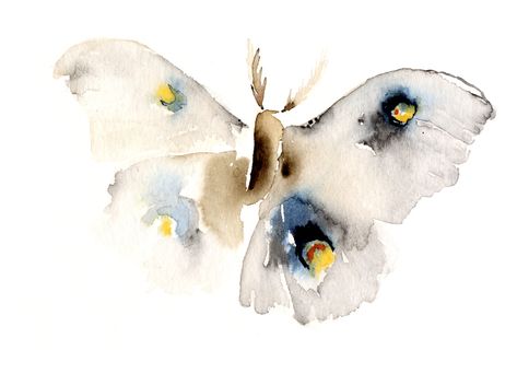 Blue Moth at ArtfullyWalls, A blue and white butterfly.  #watercolor #moths #tranquility #naturaltones #natureart #artfullywalls #gallerywall #gallerywalldecor #gallerywallinspo #artprints #stellarspaces #homeinspiration #rockininteriors #sorealhomes #styleithappy  #interiorlovers #interiorstyling #styleithappy #artfullywalls #gallerywall #gallerywalldecor #gallerywallinspo #artprints #affordableart #affordableartprints Watercolor Moth, White Moth, Art Papillon, Moth Art, Art Carte, 수채화 그림, Butterfly Painting, Art Et Illustration, Watercolor Inspiration